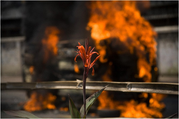 Pascal’s wager in real time